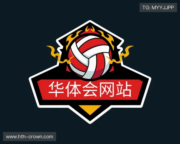 解读华体会网站